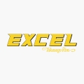 Excel - Япония
